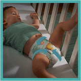 Couches PAMPERS Baby-DRY taille 7 123