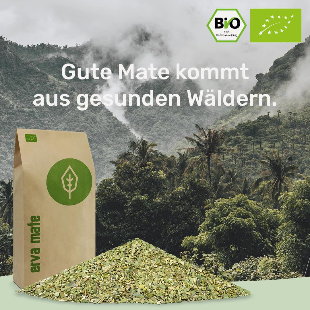 Coffret de dégustation de thé Mate ● 4 variétés de thé Mate biologique ● 100 g chacune Erva Mate + Yerba Mate + Thé vert Mate + Thé Mate torréfié