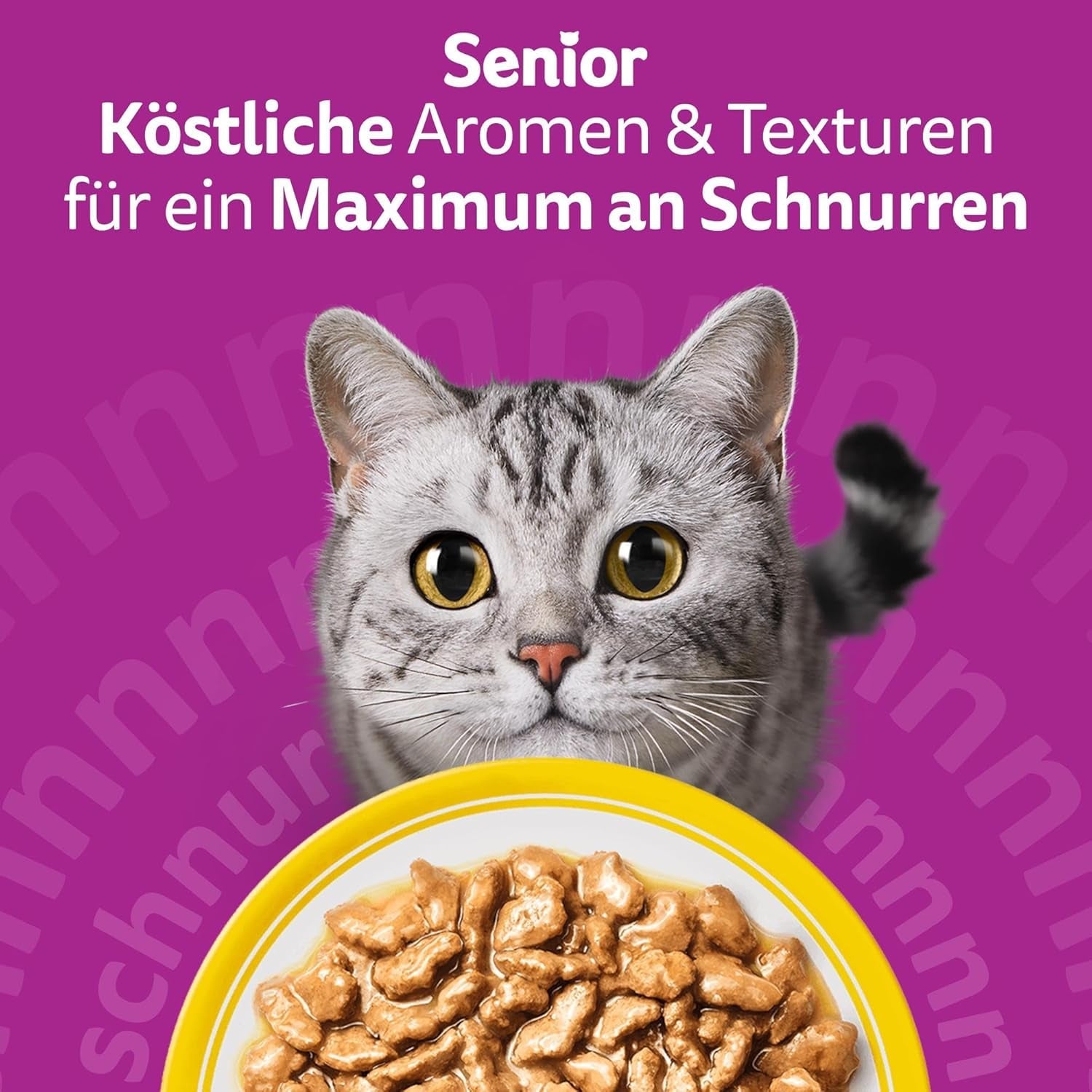 Whiskas 7+ Nourriture humide pour chats Sélection de volaille en sauce 24 x 85 g (2 paquets) - Nourriture humide de haute qualité à partir de 7 ans en 48 sachets de portion