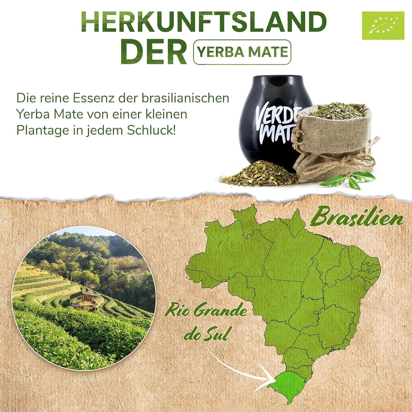 Green Mate Green Organica Énergie Guarana 500G | Thé Yerba Mate biologique du Brésil | Teneur en caféine naturelle | Thé Maté Bio