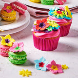 Colorant Alimentaire Gel Rose Cerise Funcakes : Colorant alimentaire très concentré pour pâte, crème, fondant, pâte d'amande, pâtisseries, dosage facile, gouttes individuelles pour créer des couleurs éclatantes, Halal, 30 g