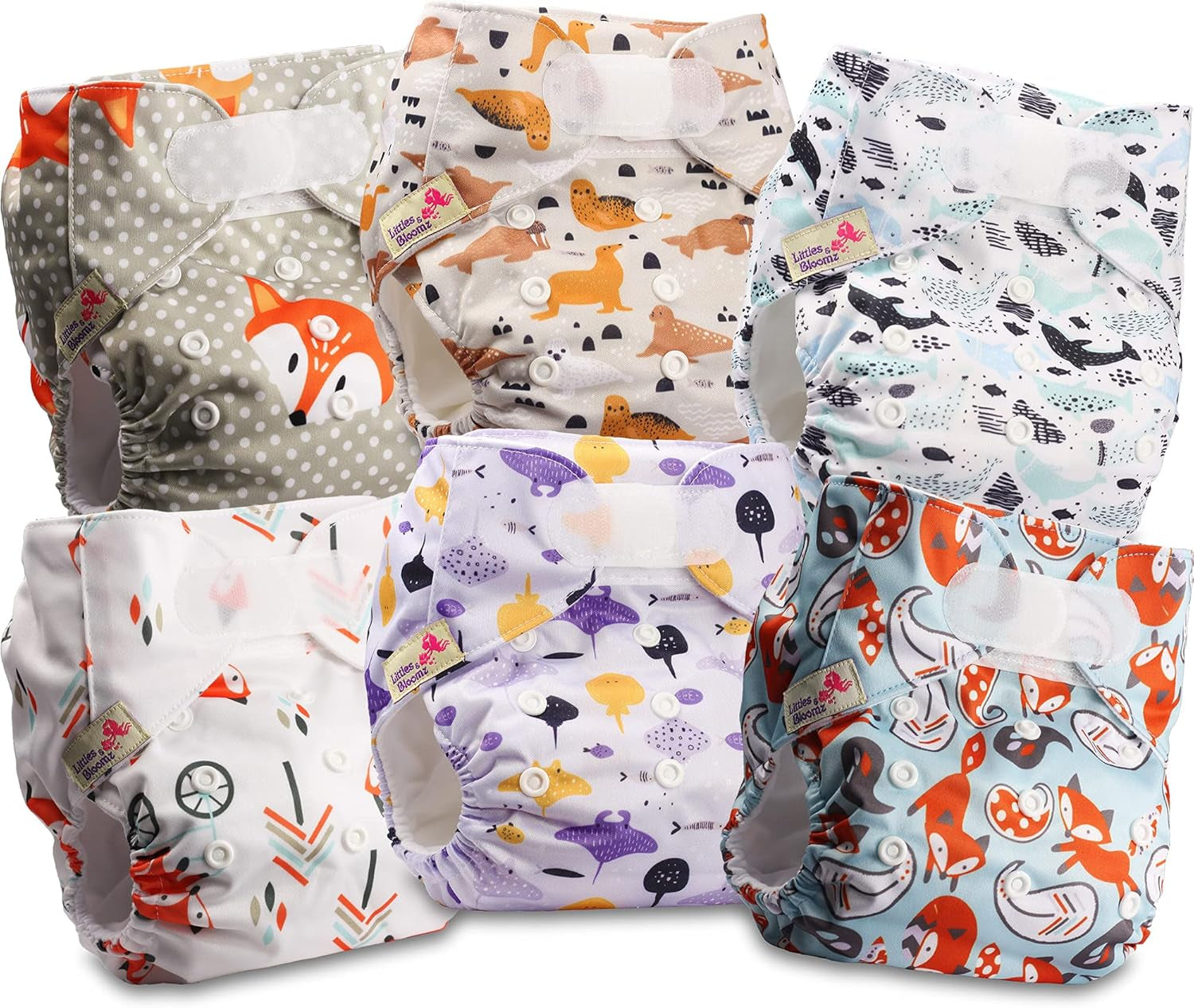 Couche réutilisable Littles and Bloomz FLV2-0602, fermeture à crochet et boucle standard, 6 couches