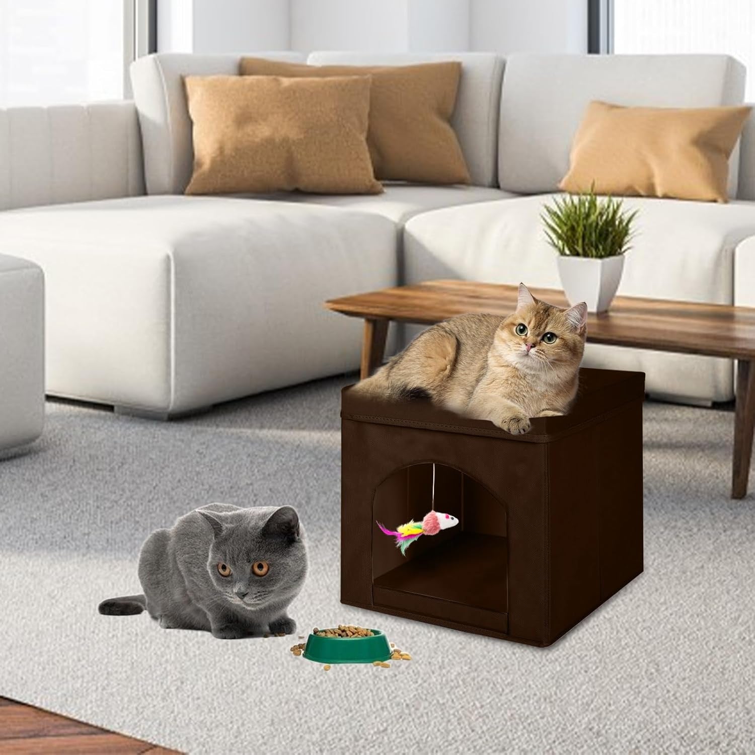 Couvertures et meubles, Animaux, Grottes et maisons, Chats, Lits pour chats, Chats - lits, matelas