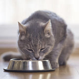 BEAPHAR - Régime rénal au poulet - Aliment complet pour chats souffrant d'insuffisance rénale chronique - Pour soutenir la fonction rénale - 100 g