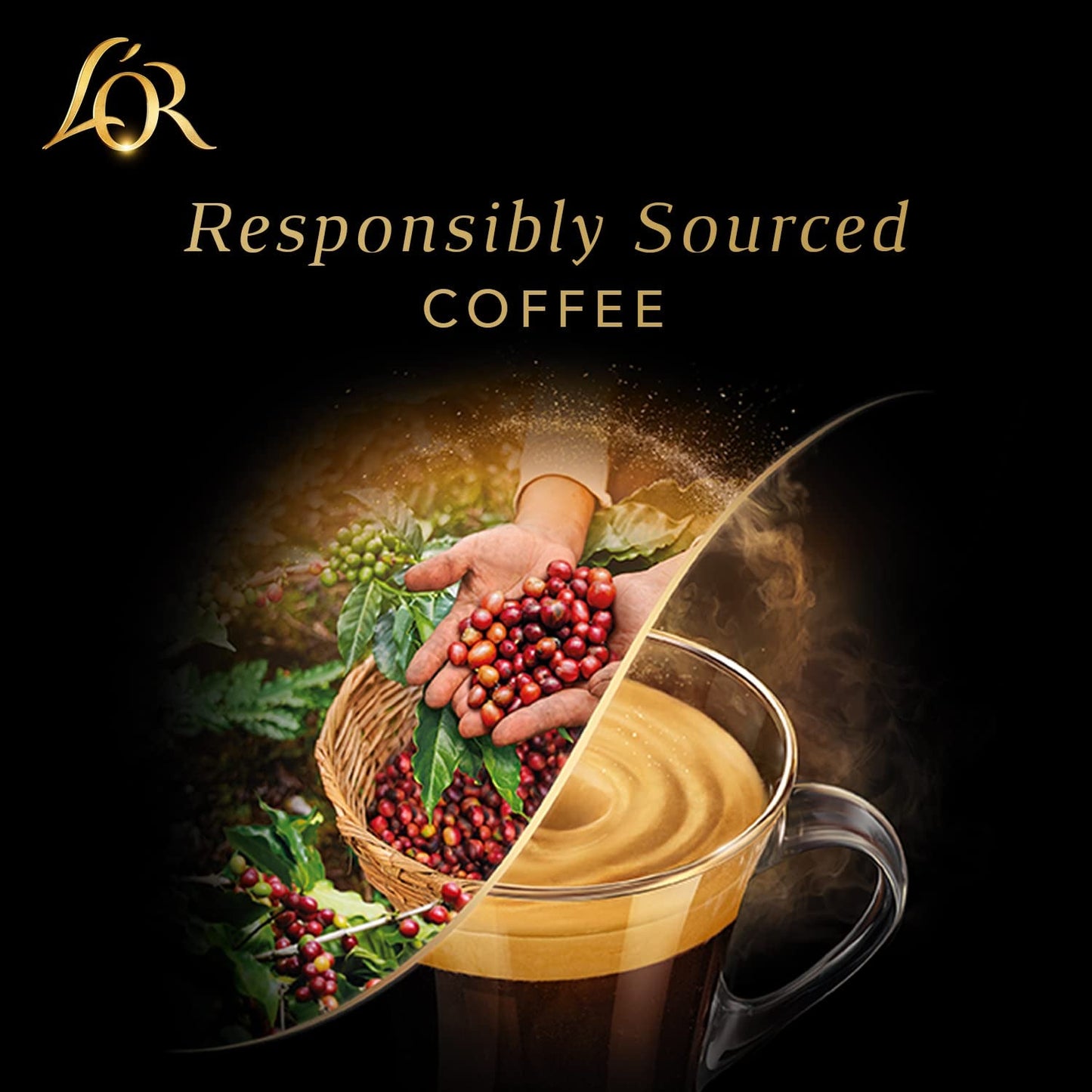 L'OR Barista Kaffeekapseln Ristretto, exclusif pour L'OR Barista Maschinen, 5er Pack, 5 x 10 Kapseln
