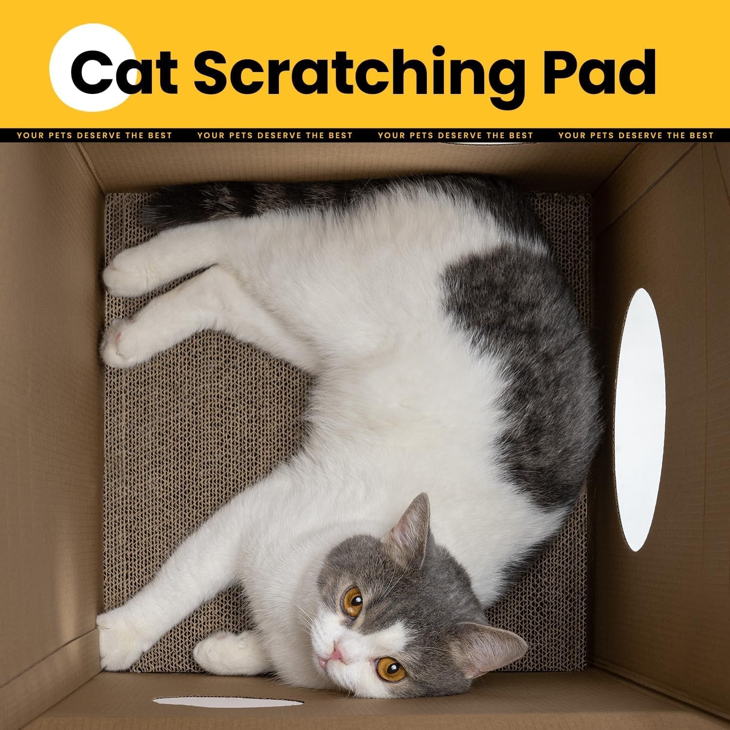 Couvertures et meubles, Animaux, Grottes et maisons, Chats, Lits pour chats, Chats - Lits, Matelas