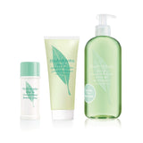 Elizabeth Arden Green Tea, lotion corporelle rafraîchissante au thé vert pour femme, 200 ml Cosmétiques et Beauté Naty Shop Coffret avec gel douche + crème déodorante