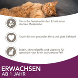 IAMS Delights Land & Sea Collection Nourriture humide pour chats - Assortiment de viande et de poisson multipack en sauce, nourriture humide pour chats à partir de 1 an, 72 x 85 g