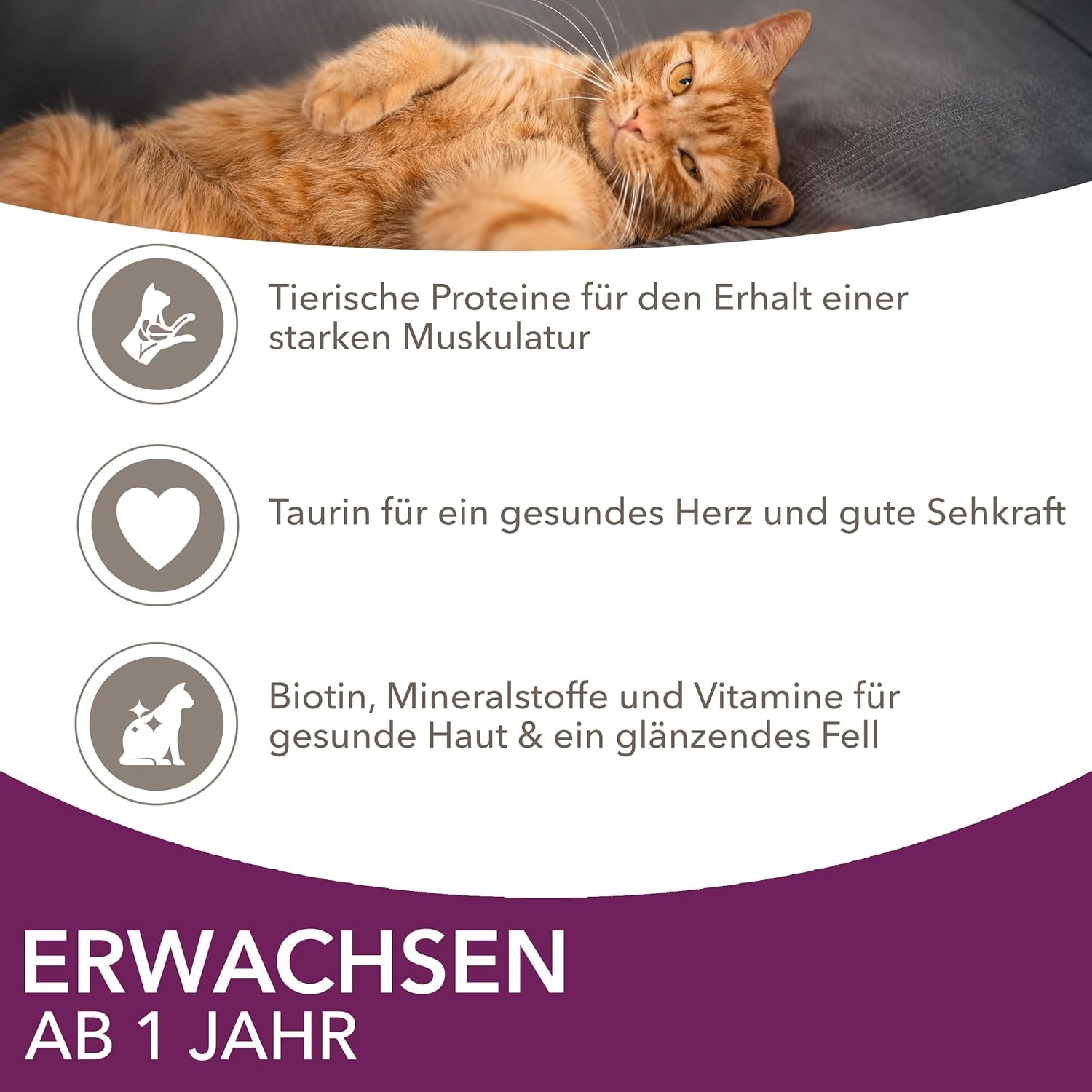 IAMS Delights Land & Sea Collection Nourriture humide pour chats - Assortiment de viande et de poisson multipack en sauce, nourriture humide pour chats à partir de 1 an, 72 x 85 g