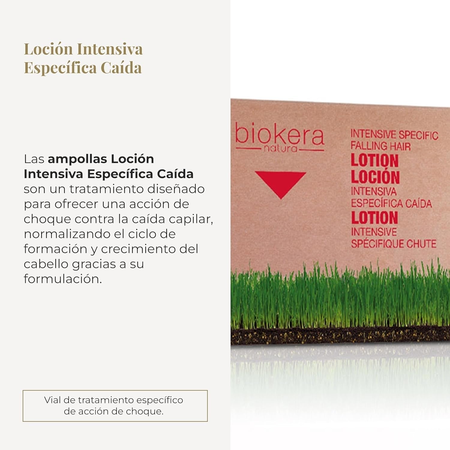Cosmétiques Lotion Spécifique Régénération Capillaire, pack de 6 (6 X 10 ml) Soins capillaires Naty Shop