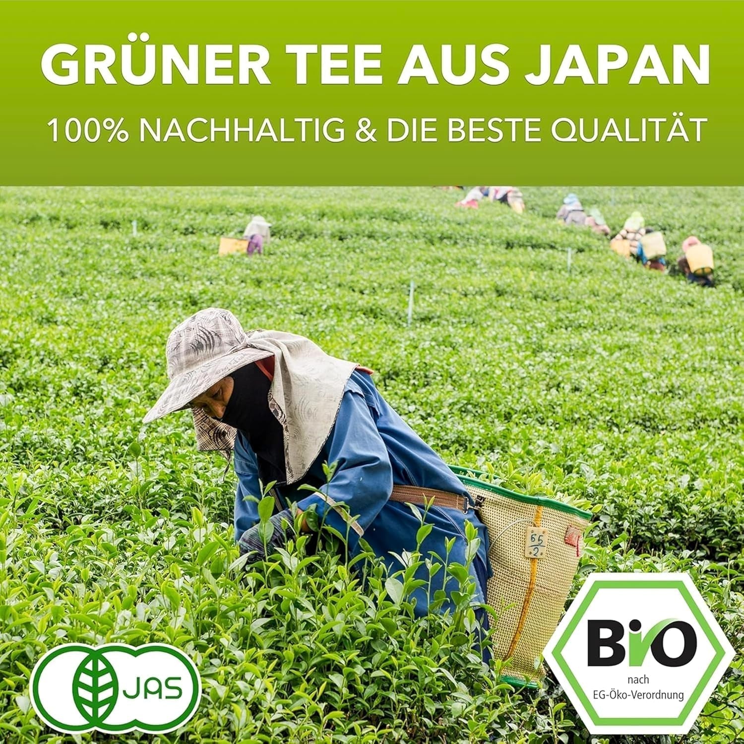 Matchamagic - Poudre de matcha latte bio du Japon avec sucre de fleur de coco pour un délicieux thé