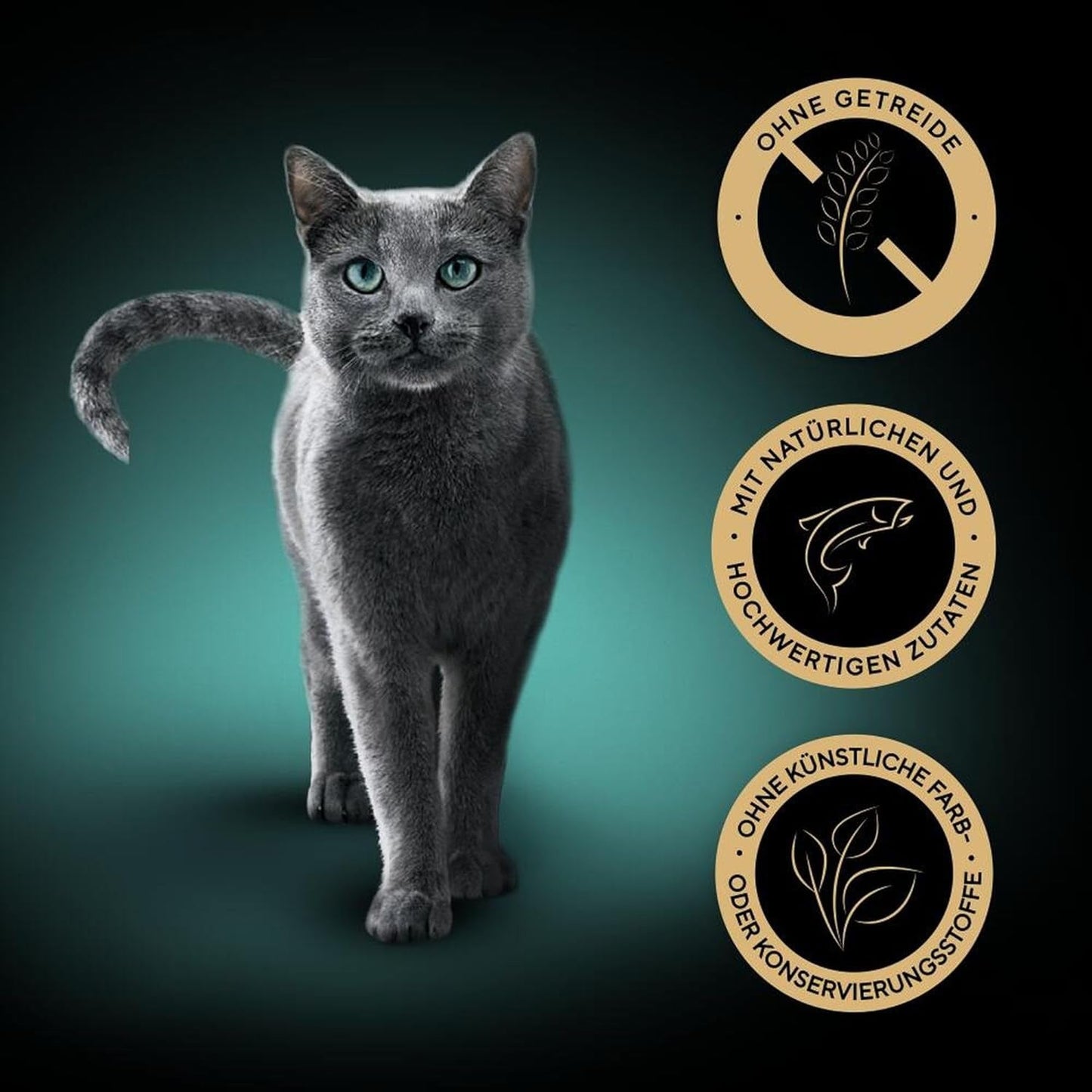 SHEBA Nourriture humide pour chats, Collection Nature's en sauce au saumon, 2 x 11 x 85 g