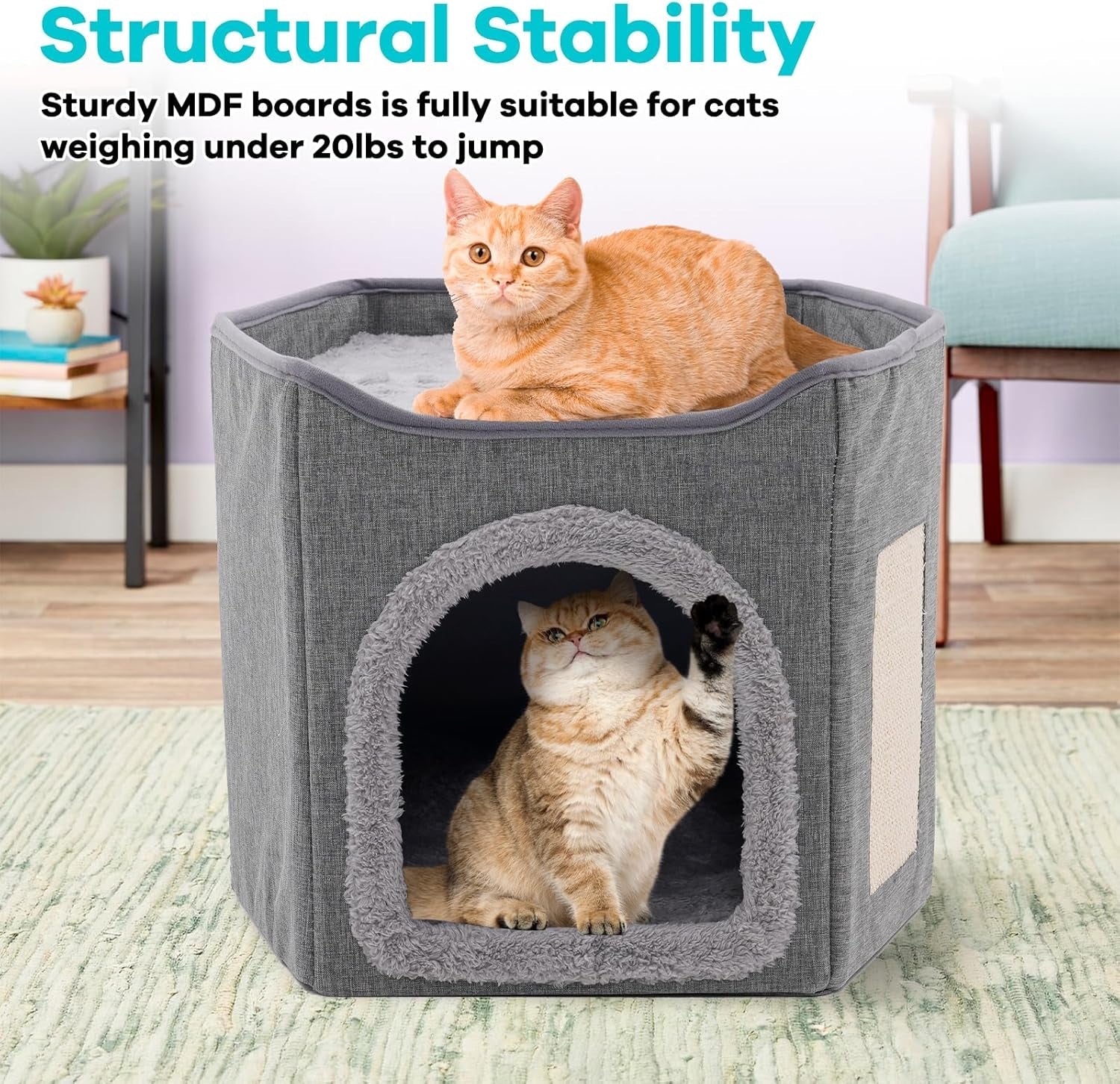 Couvertures et meubles, Animaux, Grottes et maisons, Chats, Lits pour chats, Chats - Lits, Matelas