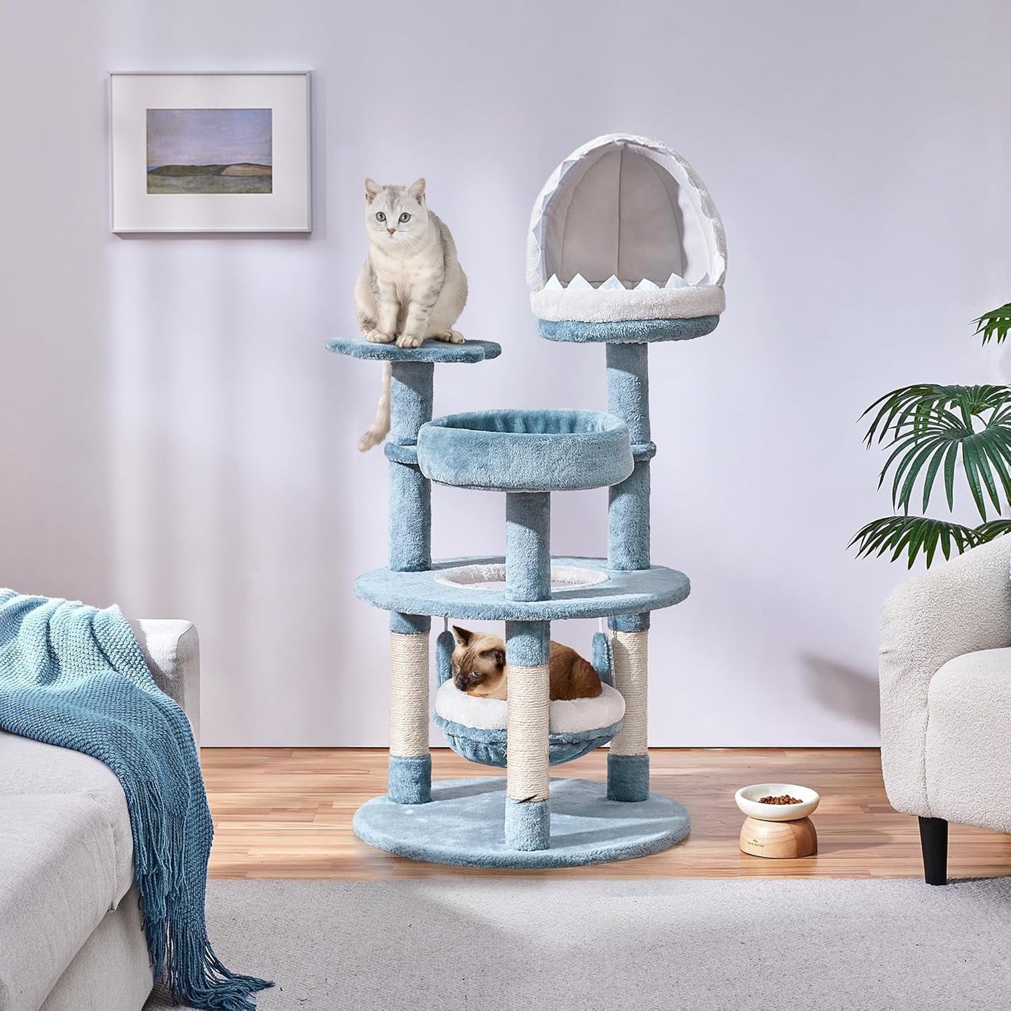 Couvertures et meubles, Animaux, Chats, Lits pour chats, Griffoir, Chats - lits, matelas