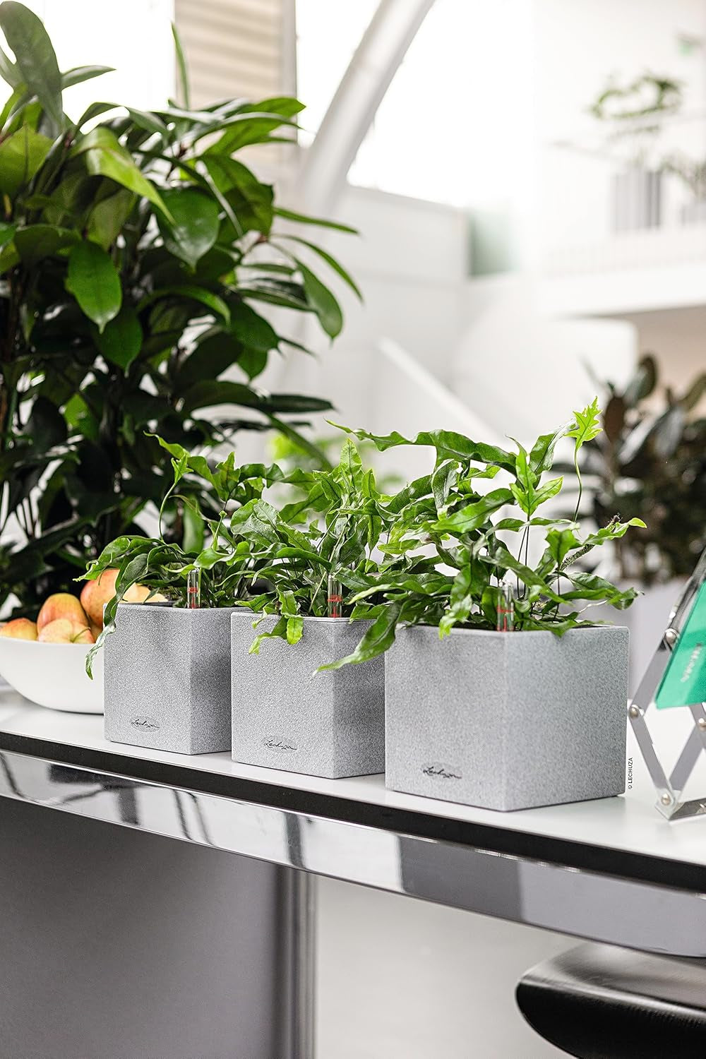 Cube à herbes de haute qualité LECHUZA CANTO Stone 14 avec système d'arrosage en bâton, gris pierre