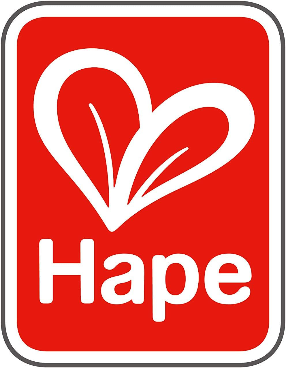 Hape Baby Room – Ensemble de chambre de poupée en bois, meubles de poupée, accessoires de maison de poupée pour tout-petits, chambre de bébé miniature avec balançoire et accessoires, jeu de rôle pour 3 ans