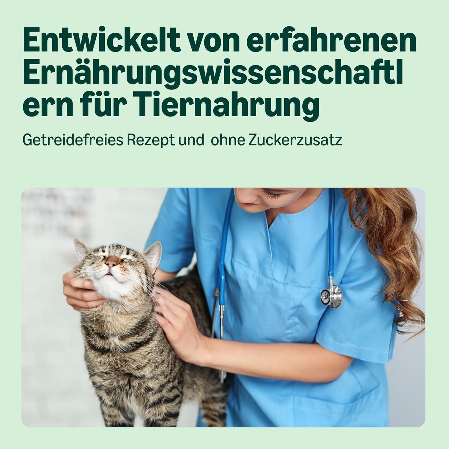 Amazon Nourriture humide pour chat sans céréales Spots de poulet en conserve 12 x 400 g