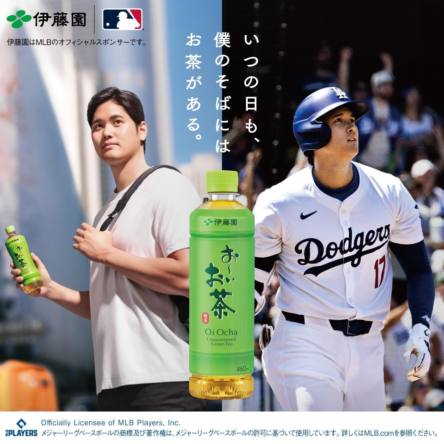 Itoen Premium Tee Bag Thé vert 1,8 g - 50 Paix - Thé vert - (type d'emballage)