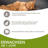 IAMS Delights Land Collection Nourriture humide pour chats - Multipack avec variétés de viandes (agneau, bœuf, poulet et dinde) en sauce, nourriture humide pour chats à partir de 1 an, 12 x 85g