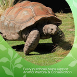 David Rio - Chai Vert Tortue, carton (1 x 398g)