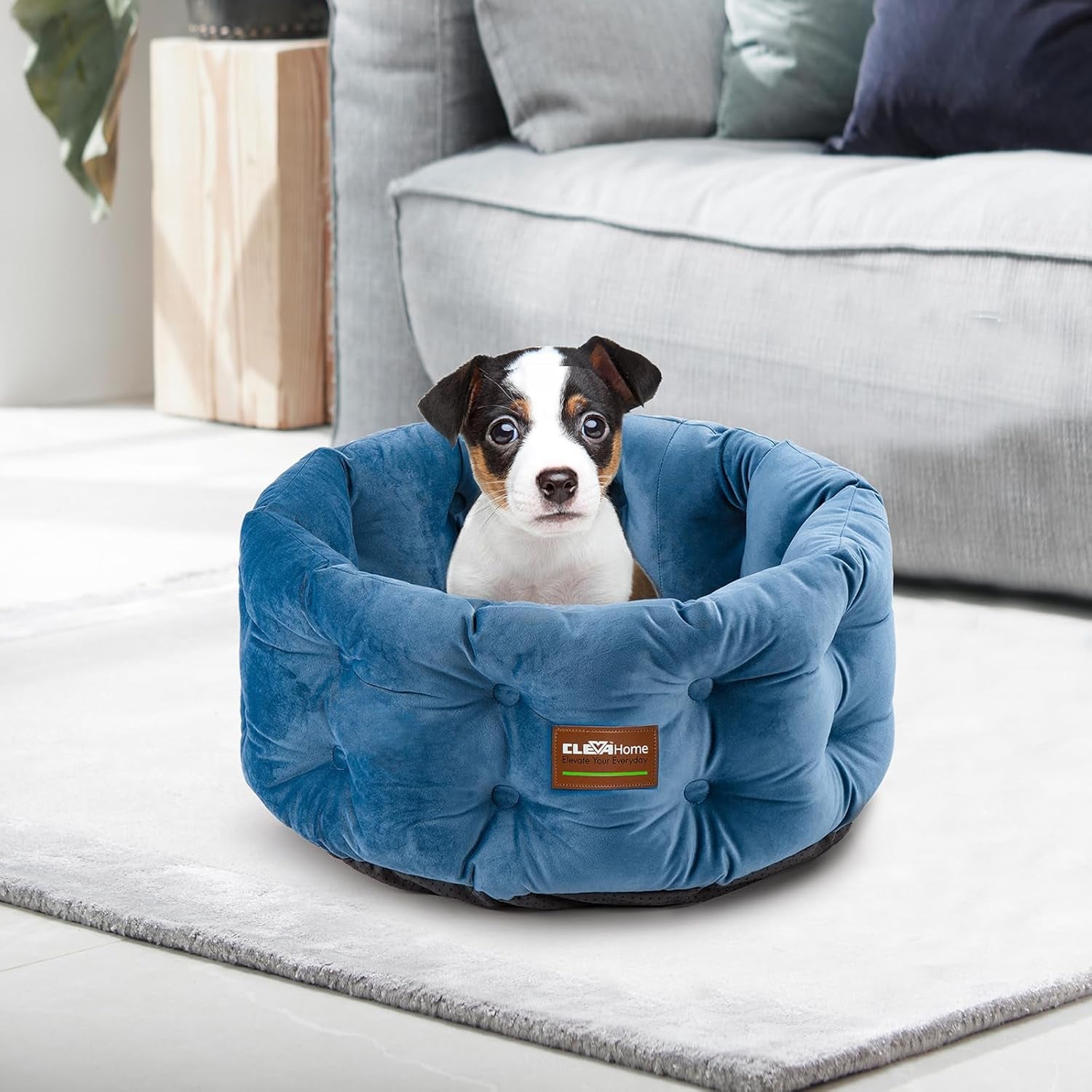 Lits et Canapés, Couvertures et Meubles, Animaux, Chats, Lits pour chats, Chats - lits, matelas