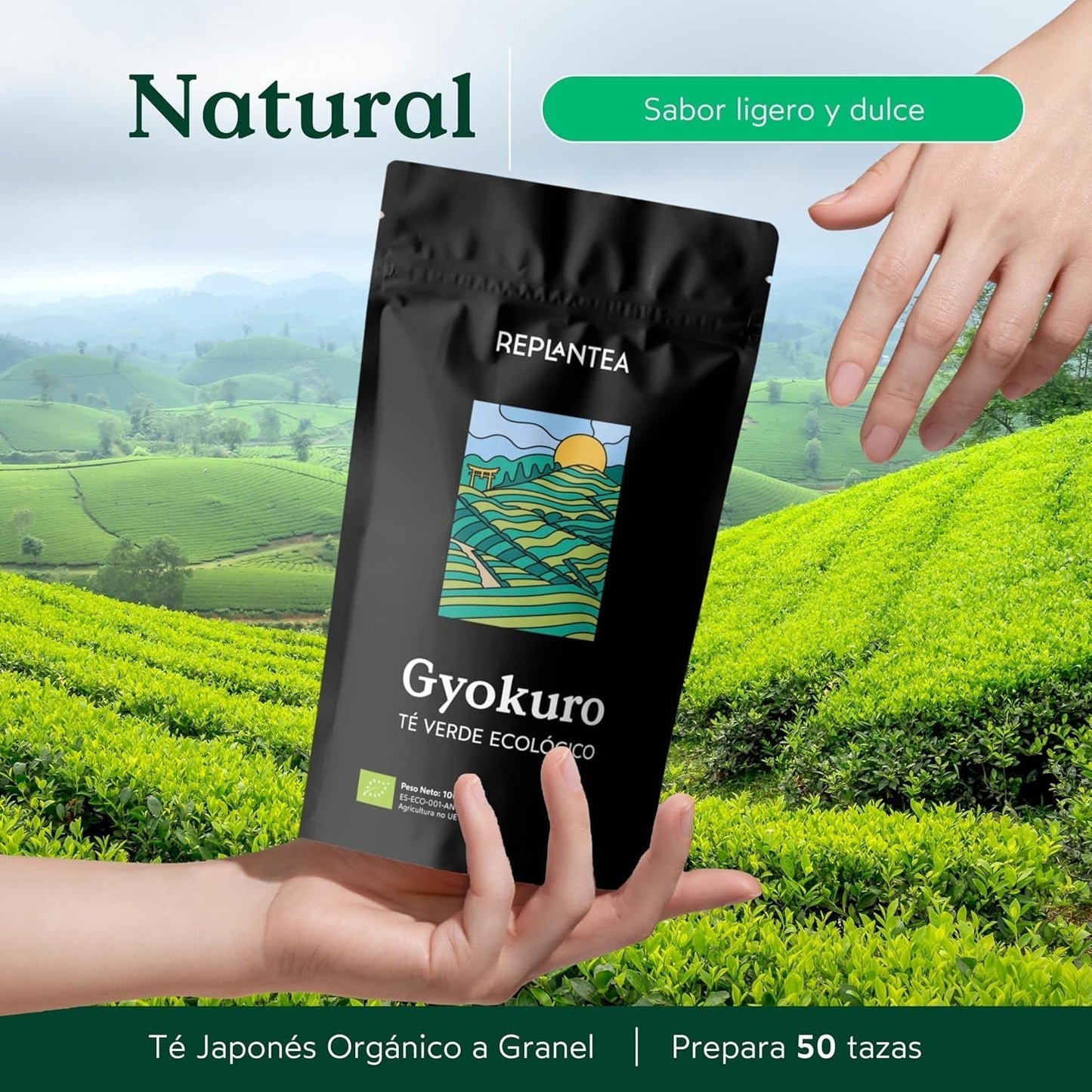 Thé vert japonais Gyokuro biologique (100 g) | Thé en vrac premium | Goût umami raffiné et douceur délicate | REPLANTER