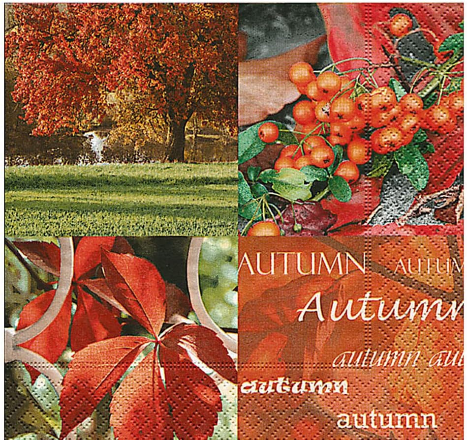Lingettes en cellulose, la nature de l'automne" (contenu 1)