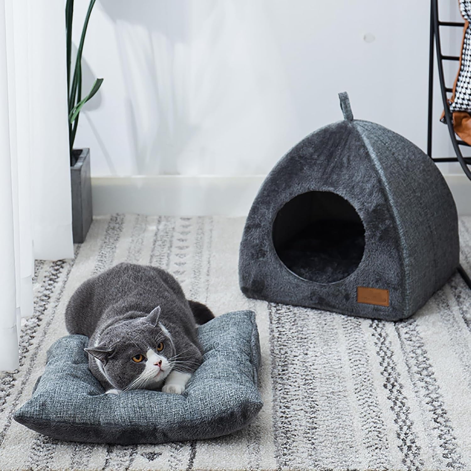 Couvertures et meubles, Animaux, Grottes et maisons, Chats, Lits pour chats, Chats - lits, matelas