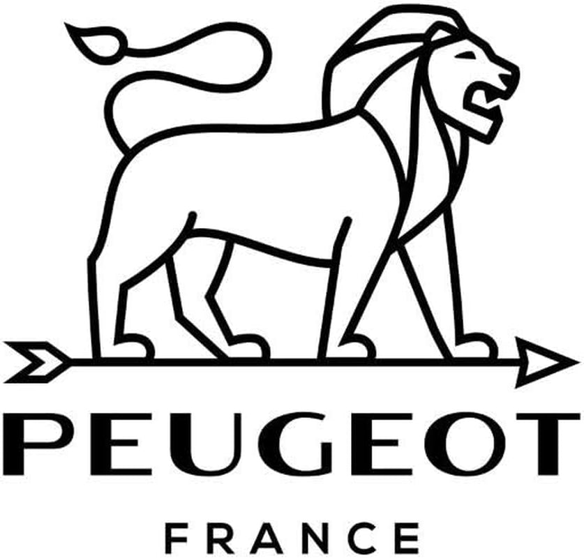 Peugeot Appolia Rechteckige Auflaufform Mit Griffen, Keramik, Schiefer / Grau, 8.3X40.5X27.2 Cm, Fassungsvermögen: Env. 4 L, 60022 Moules et plaques pour pâtisserie Naty Shop