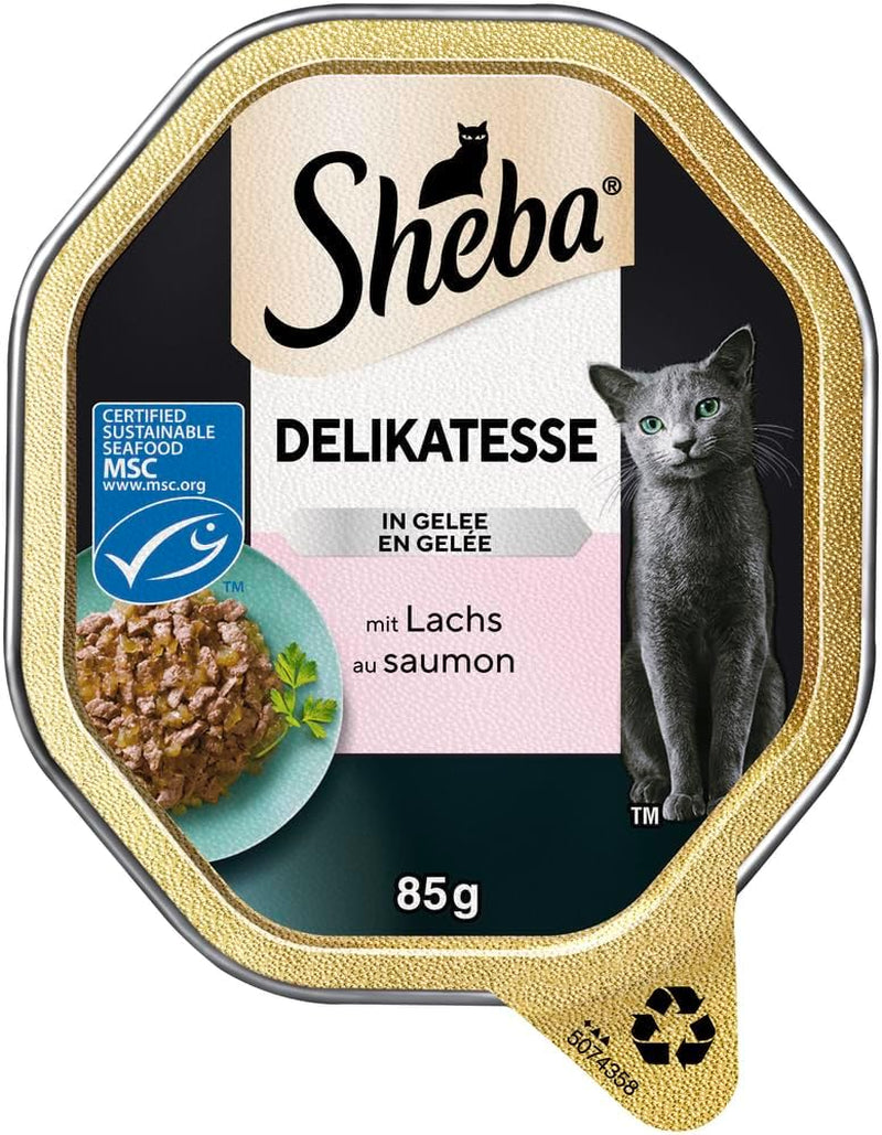 Sheba Nourriture humide pour chat, Délicatesse en gelée de saumon, 2 x 11 x 85 g