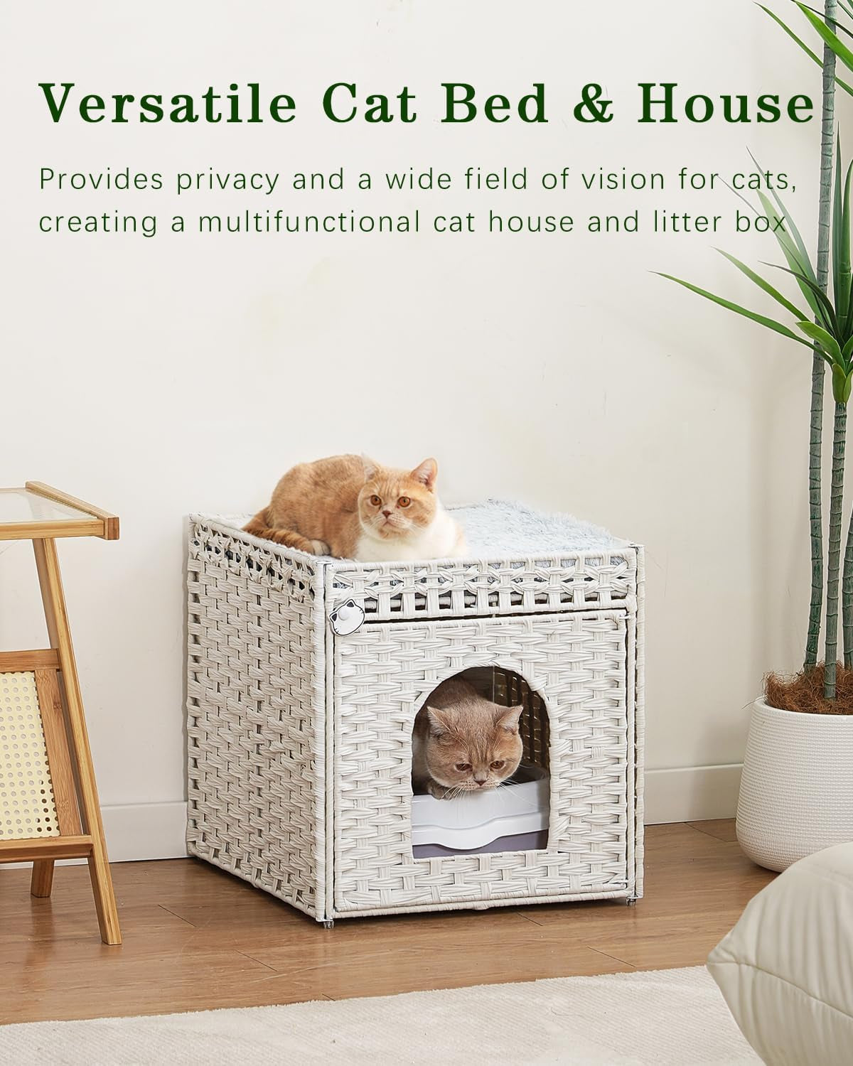 Couvertures et meubles, Animaux, Grottes et maisons, Chats, Lits pour chats, Chats - lits, matelas