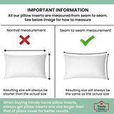 Coussin décoratif tendance pour la maison, soutien lombaire hypoallergénique, pour la maison, l'extérieur, le canapé, lavable en machine, 12 "x 20"