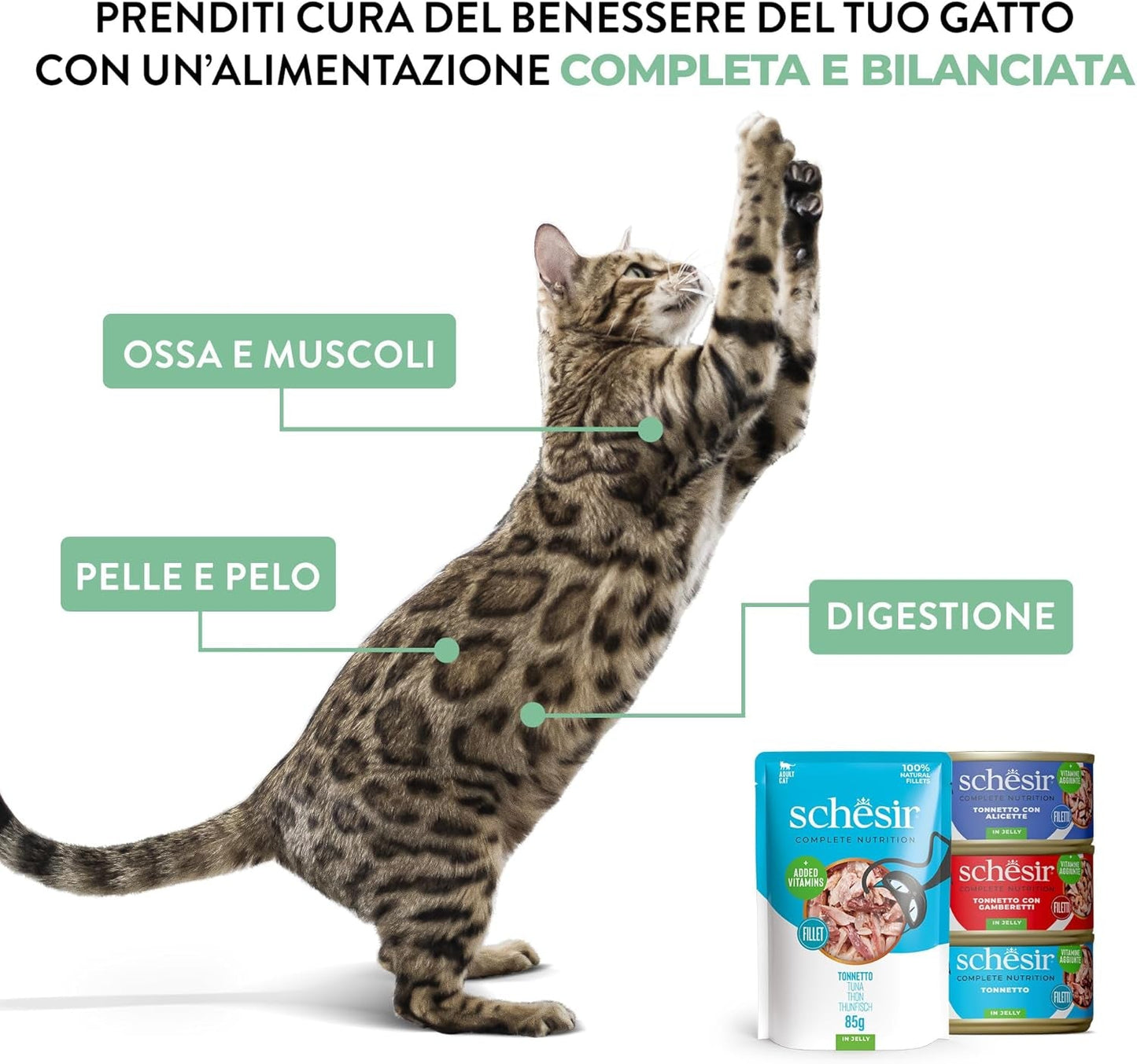 Thon Saumon en Gelée, Aliment Humide Complet pour Chats, en Conserve, avec Vitamines Ajoutées, 100% Naturel, 6 x 85 g