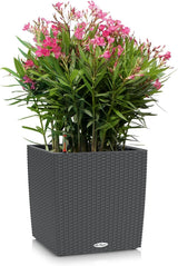 LECHUZA CUBE Cottage 30 granit 15372