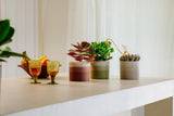 elho Pot rond avec dégradé de couleurs 16 cm - Pots de fleurs d'intérieur - 100% plastique recyclé - Ø 15,9 x H 14,7 - Marron/Marron Cèdre