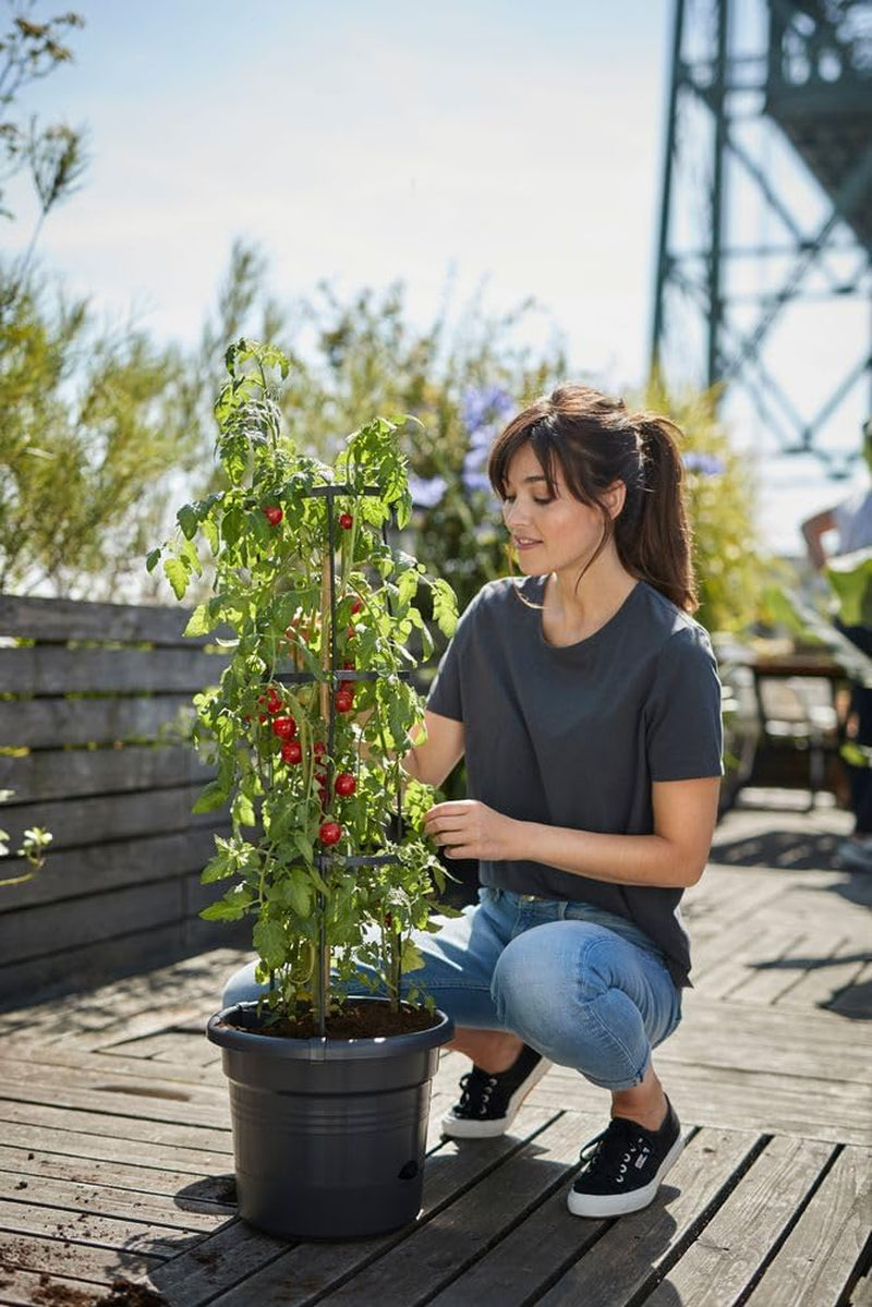 elho Green Basics Tomato pots 33 - Pots de fleurs pour la culture et la récolte en extérieur - Ø 33,5 x H 26,0 cm - Noir/Noir vif