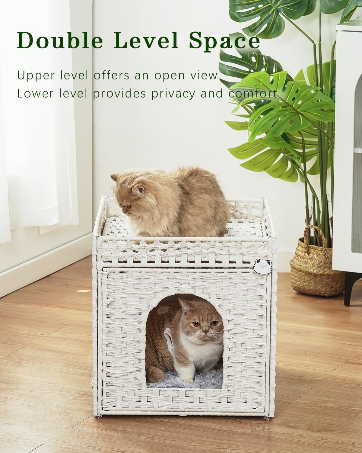 Couvertures et meubles, Animaux, Grottes et maisons, Chats, Lits pour chats, Chats - lits, matelas