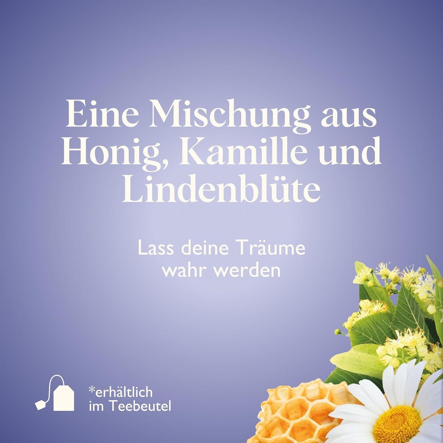 Twinings SWEET DREAMS Thé à la camomille au miel, à l'orange et à la fleur de tilleul - Mélange sucré de tisanes pour une amélioration naturelle du sommeil, paquet de 12 (10 sachets de thé chacun)