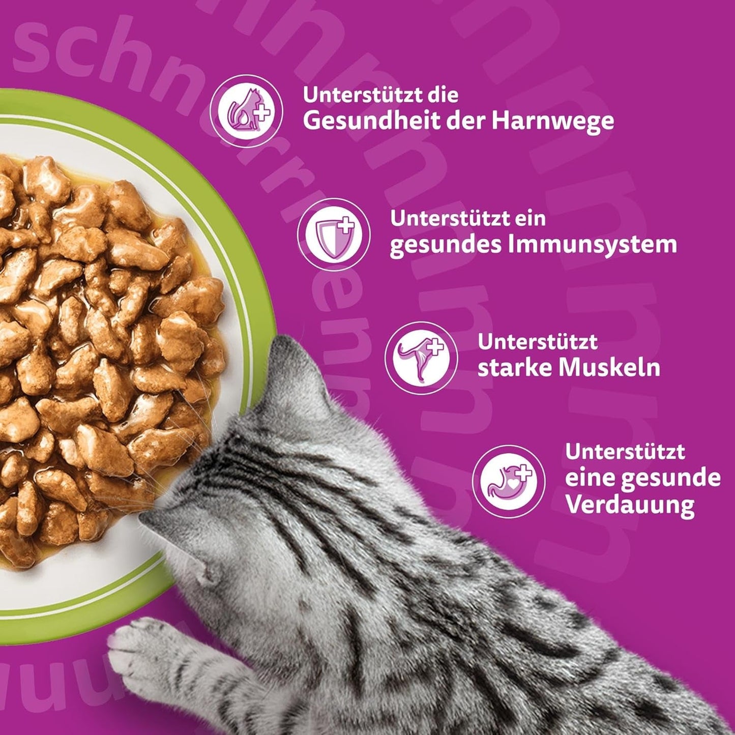 Whiskas Senior 7+ Wet Food Sélection Mixte en Gelée, 84 Sachets, 84x85g (1 Grand Paquet) - Nourriture humide de haute qualité pour chats de 7 ans et plus
