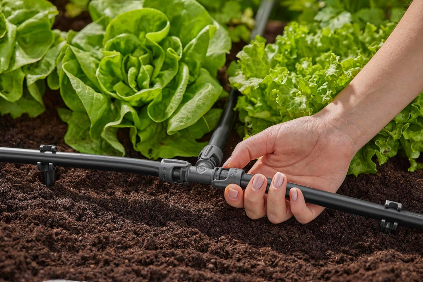 Gardena Système d'irrigation micro-goutte en T 13 mm (1/2") : connecteur pour tuyaux d'alimentation de 13 mm, branche en T, irrigation automatique, réutilisable (13201-20)