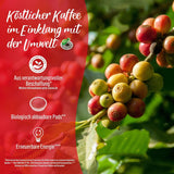 Senseo Pads Café Latte Vanille, 5 x 8 Getränke, 40 Kaffeepads