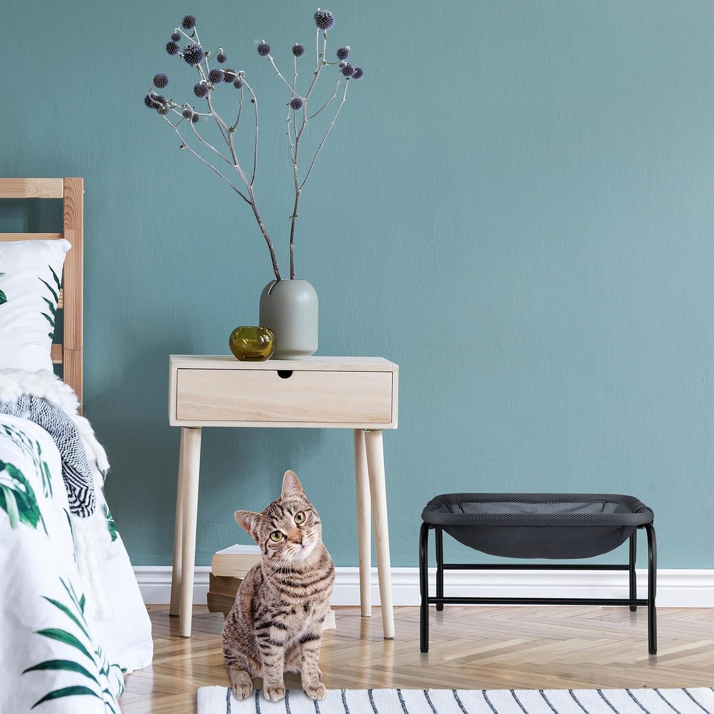 Lits, couvertures et meubles, animaux, chats, lits pour chats, Chats - lits, matelas