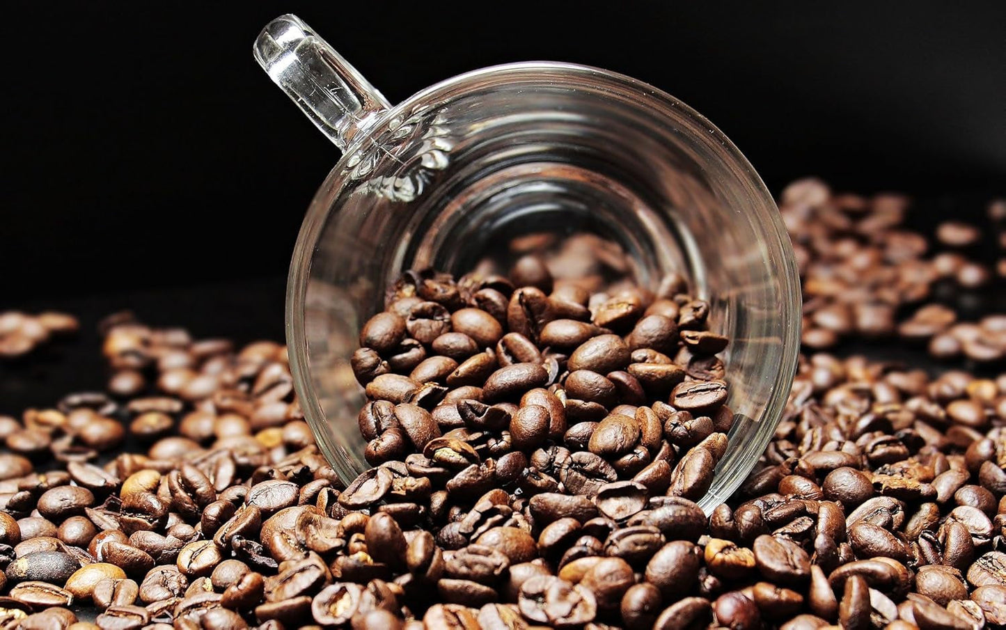 Café spécial d'Amérique du Sud - Galapagos, l'écosystème unique des îles (1000 grammes, grains entiers) - café d'origine unique - café haut de gamme - faible acidité - légèrement torréfié et frais