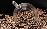 Spécialité de café d'Amérique centrale : Café du Honduras - Une spécialité des Caraïbes (1000 grammes, grains entiers) - Café d'origine unique - Café de qualité supérieure - Faible acidité - Légèrement torréfié et frais
