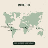 Sélection de grains de café Incapto dans le monde entier | Sélection de 10 origines du monde | Café de spécialité | 100% Arabica | Idéal comme coffret cadeau café | Pour les amateurs de café | 10 paquets x 100g