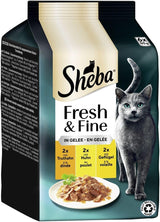 Sheba Portion Pouches Nourriture humide pour chat, paquet multiple de gelée fraîche et fine de dinde et de poulet, 6x6x50g - Nourriture pour chat de haute qualité en gelée de dinde et de poulet