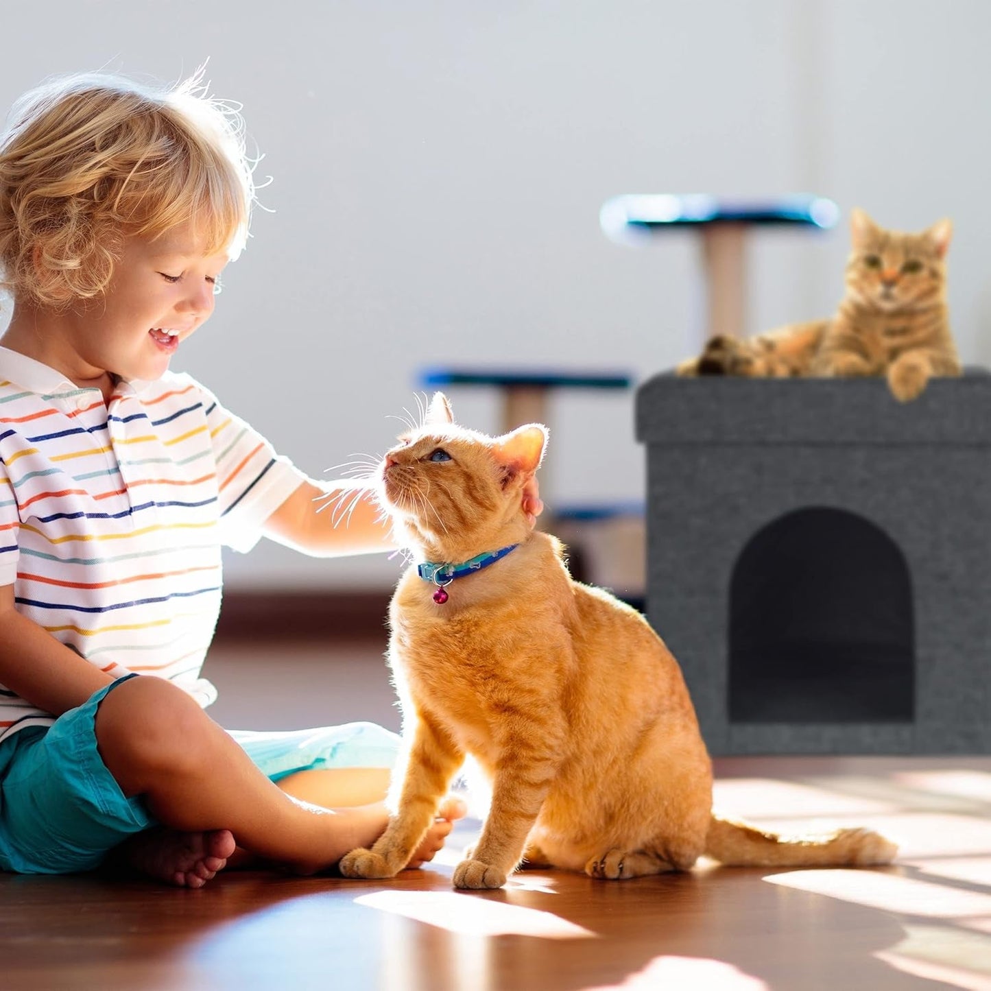 Couvertures et meubles, Animaux, Grottes et maisons, Chats, Lits pour chats, Chats - lits, matelas