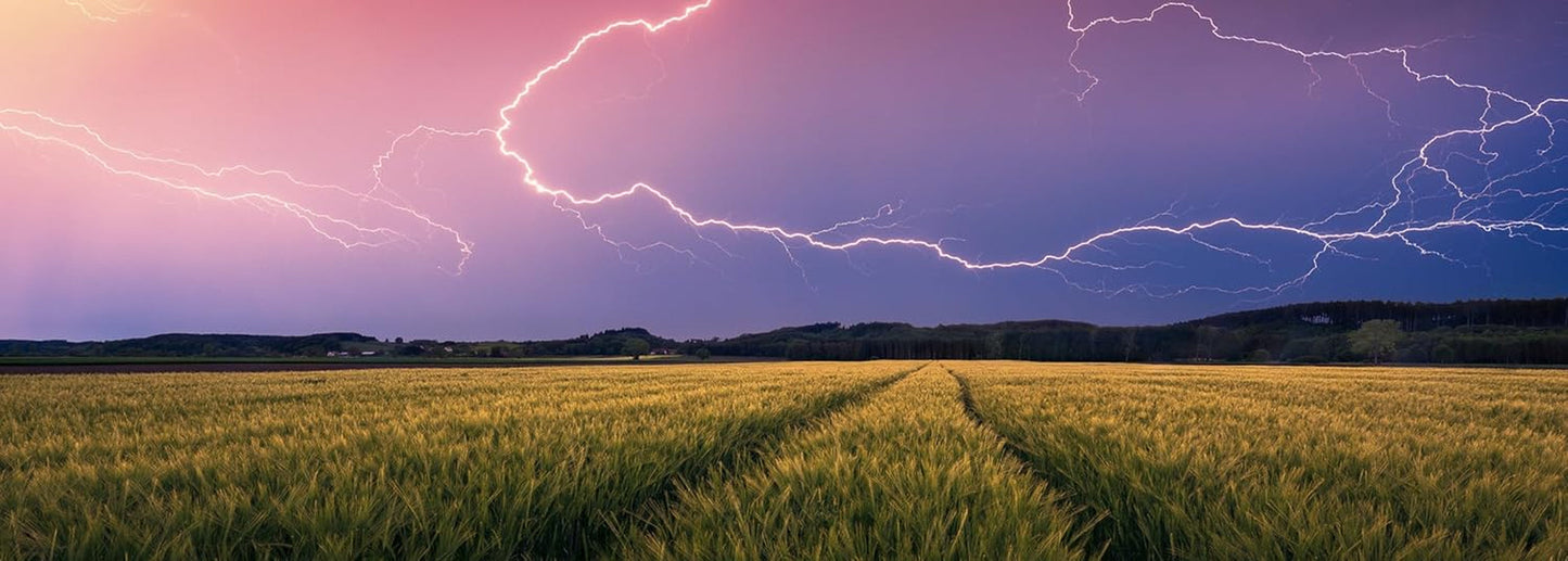 Ravensburger Nature Edition 17491 Summer Storm - Puzzle de 500 pièces pour adultes et enfants à partir de 12 ans Puzzle Naty Shop Collage