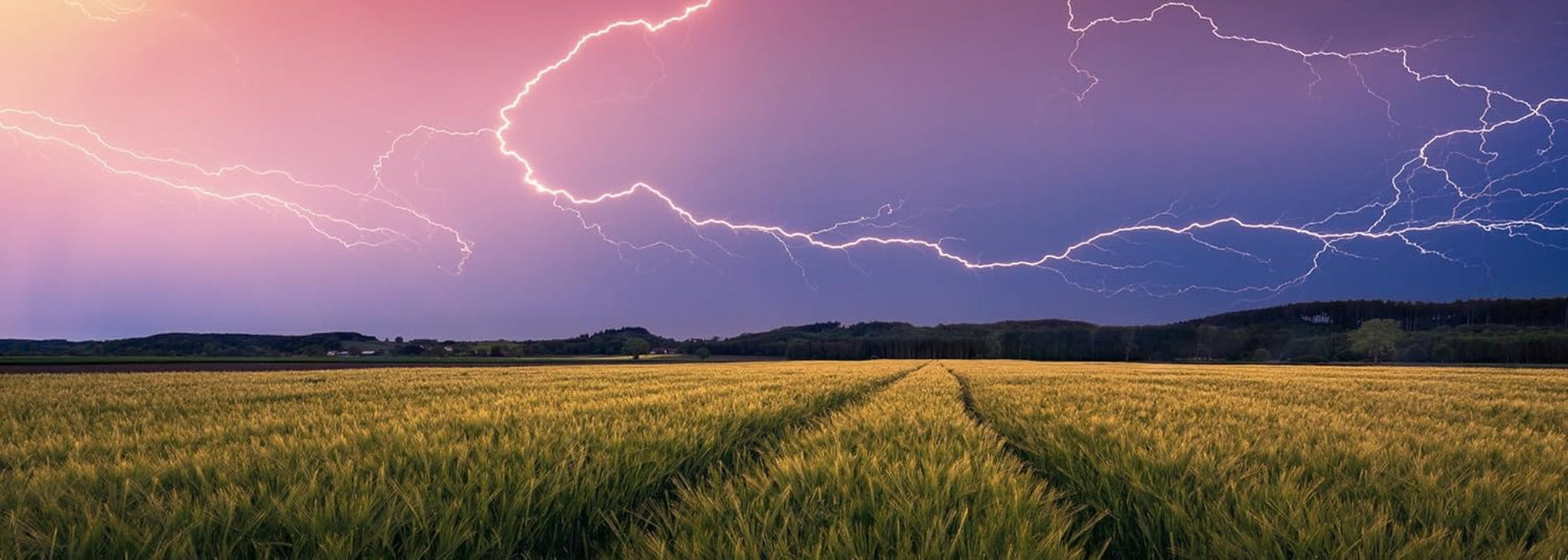 Ravensburger Nature Edition 17491 Summer Storm - Puzzle de 500 pièces pour adultes et enfants à partir de 12 ans Puzzle Naty Shop Collage
