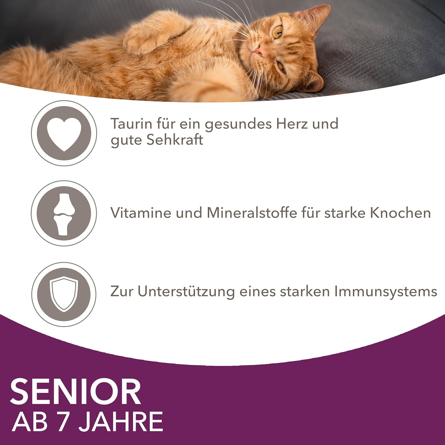 IAMS Delights Nourriture humide pour chats seniors - Multipack au poulet et poisson en sauce, nourriture humide de haute qualité pour chats de plus de 7 ans, 12 x 85 g